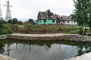 У Вероники 7