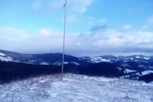 У Власия 20