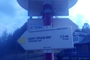 У Власия 23