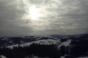 У Власия 24