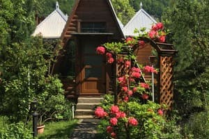 У Ярослава 31