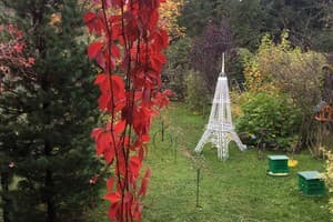 У Ярослава 30