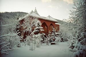 У Ярослава 43