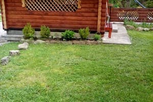 У братьев 11