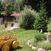 У пана Івана 4-5/16