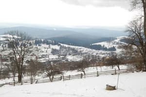 У вуйка Богдана 4