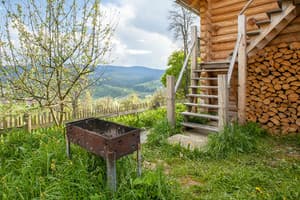 У вуйка Богдана 2