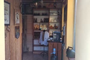 Урочище Багончик 9