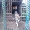 Усадьба у Власия 36-37/51