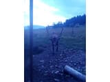 Усадьба у Власия 41