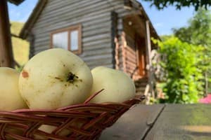 Усадьби возле Пилипца 1