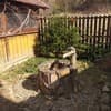 В гостях у гоцула 5