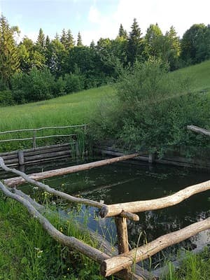 В медовом раю 18