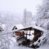 В медовом раю 1-2/11