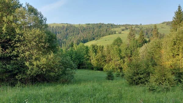 У Медовому Раю 28