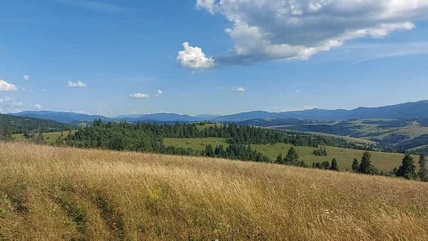 У Медовому Раю 29
