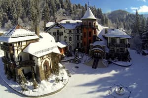 Вежа Ведмежа 21