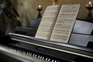 Вежа Ведмежа 11