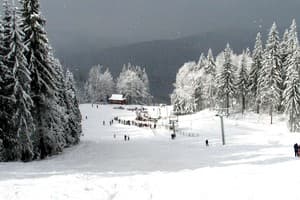 Вежа Ведмежа 18