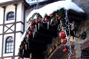 Вежа Ведмежа 19