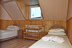 Велика Ведмедиця 13