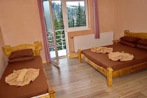 Велика Ведмедиця 15