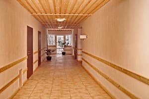 Велика Ведмедиця 17