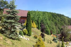 Верес 5