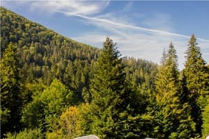 Верховина 1