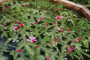 Верховинский фонтан 5