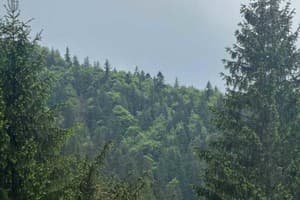 Верховинский фонтан 1