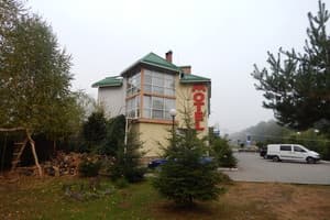 Викинг-Карпаты 2