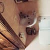 Вилла Villa Billa. Стандарт двухместный  5