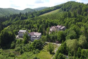 VitaPark Карпаты 7