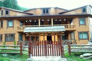 Водограй Карпат 7