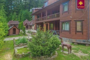 Водограй Карпат 3