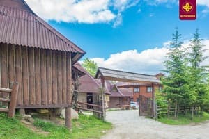 Водограй Карпат 5