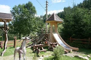 Водограй Карпат 8