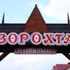 Ворохта 365 9