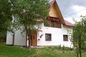 Возле потичка 6