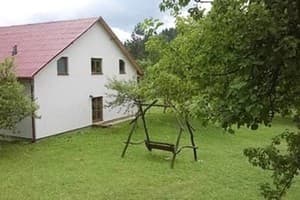 Возле потичка 2