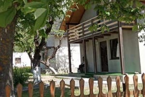 Возле потичка 1