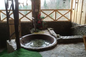 Вуйко 1