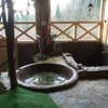 Вуйко 1-2/14