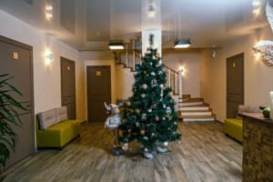 Whiteberry Studio 11