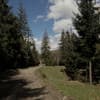 WoodDream 4-5/13