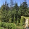 WoodDream 6-7/13