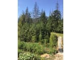 WoodDream 6