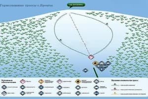 Яблуневий сад 1