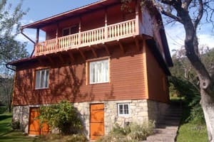 Яблуневий сад 18